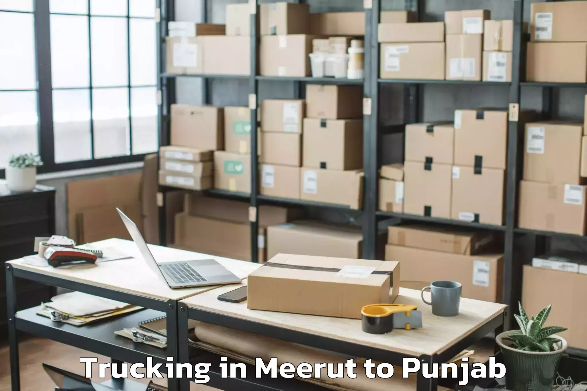 Professional Meerut to Pathankot Trucking